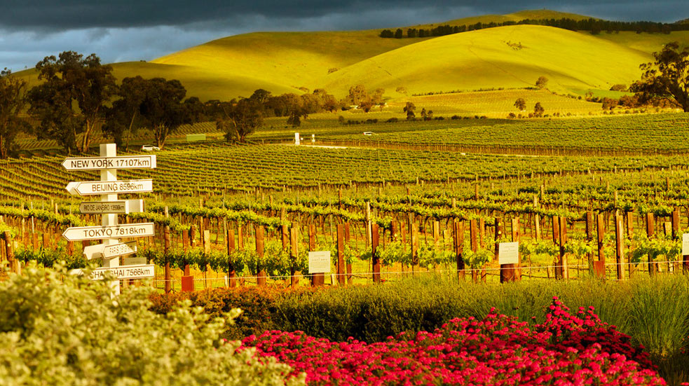 Víno a vinařství Austrálie 