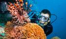 Zájezd Podmořský svět Barierového útesu