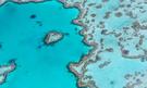 Zájezd Podmořský svět Barierového útesu